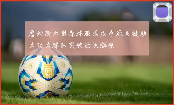 詹姆斯加盟森林狼或成夺冠关键助力助力球队突破西决瓶颈